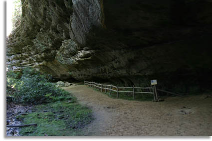Rail to protect Cumberland Sanwort - Hazard Cave
