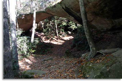 Pickett State Park Natural Bridge