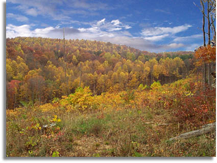 Standing Stone State Park
