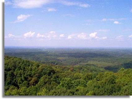 Standing Stone Terrain