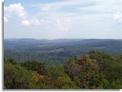 Standing Stone Forest Terrain