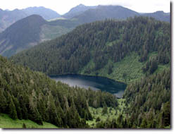 Vancover Island Marmot Release Site